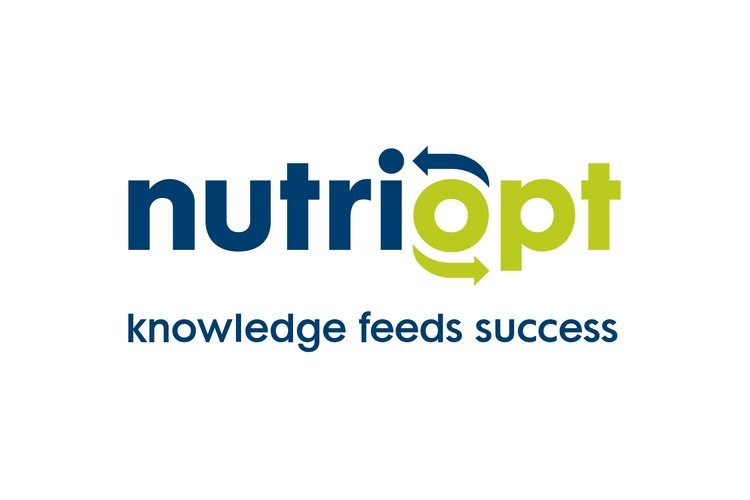 NutriOpt Actionable Analysis